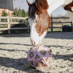 Kentucky Relax Play and Hay Ball Old Rose