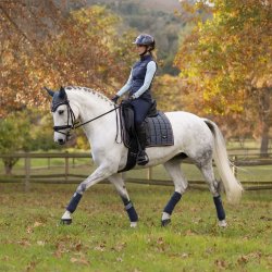 LeMieux Close Contact Loire Classic Petrol