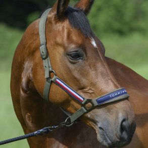 Tommy Hilfiger Lincoln Grime Olive