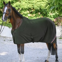 Tommy Hilfiger Stanford Fleecetppe Pine Green