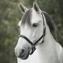 Kllquist Lippo Basic Slim Ldergrime Brun