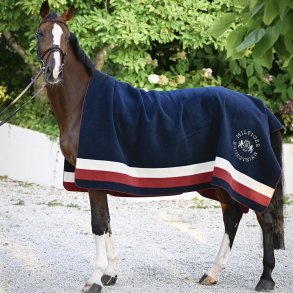 Tommy Hilfiger Hillsdale Square Tppe Multi