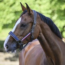 Tommy Hilfiger Lincoln Grime Pine Green