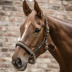 Waldhausen Mesh Grime Cappuccino