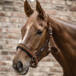 Waldhausen Mesh Grime Cinnamon