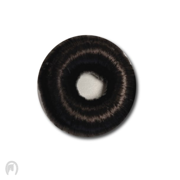 Equipage Hr-Donut Brun