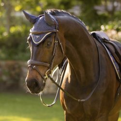 LeMieux Loire Hut Dusk Blue/Dark Night