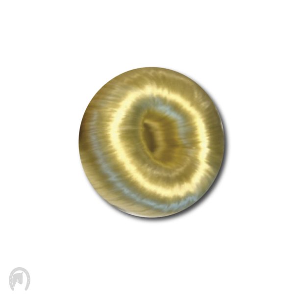 Equipage Hr-Donut Blond