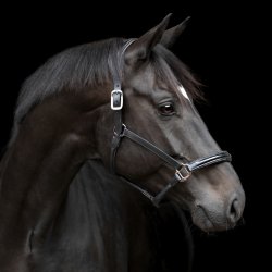 Catago Novi Ldergrime Sort