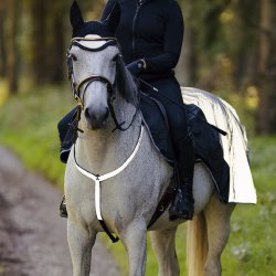 Hansbo Sport Refleks Fortj til hest One Size