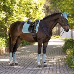 LeMieux Suede Dressage Square Lagoon