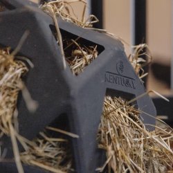 Kentucky Relax Play and Hay Ball Gr