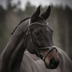 Kllquist Knights Arthur Trense Sort