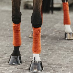 Kentucky Polar Fleecebandager Orange - 4stk