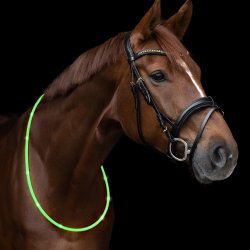 Waldhausen LED Lys Halsring 150cm Grn