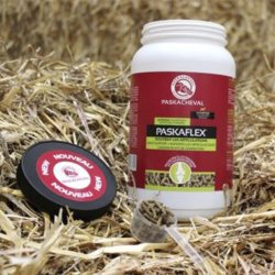 Paskacheval Paskaflex 900g