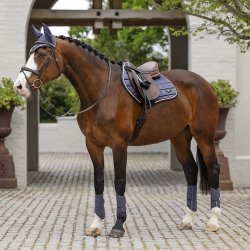 LeMieux Loire Classic Close Contact Dusk Blue