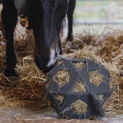 Kentucky Relax Play and Hay Ball Gr