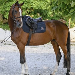 Tommy Hilfiger Underlag Upstate Navy