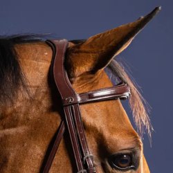 Dyon Anatomisk Flash Trense Brun