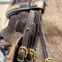 Equality Line Skyklapper Sort