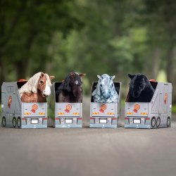 LeMieux Mini Pony Sam Skimmel