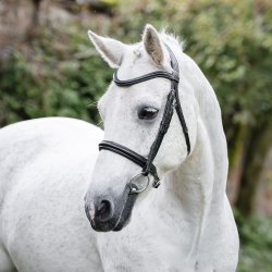 Horseware Cavesson Trense Sort