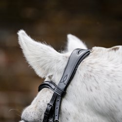 Horseware Cavesson Trense Sort