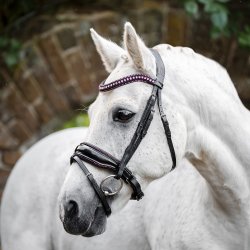 Horseware Diamante Flash Trense Sort