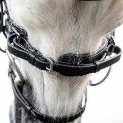 Horseware Cavesson Trense Sort