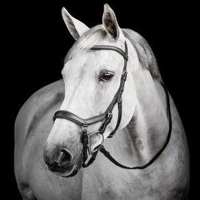 Horseware Micklem Diamante Competition Trense Sort