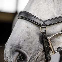 Horseware Micklem Diamante Competition Trense Sort