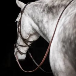 Micklem Bidsl�s trense Sort