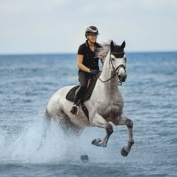 Shockem�hle T-Shirt Miley Sort