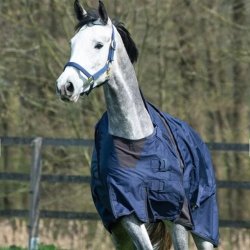 EQuest Vinterdkken Nova Scotia Brun 300g 