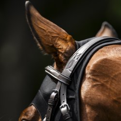 Horseware Ionic Calming Face Mask Sort