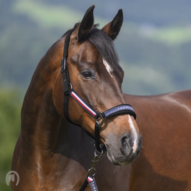 Tommy Hilfiger Yale Grime m. Tr�ktov Sort