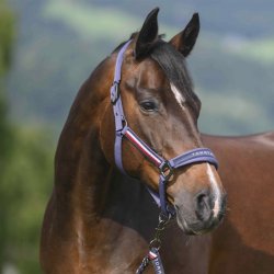 Tommy Hilfiger Yale Grime m. tr�ktov Faded Indigo