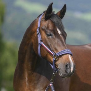 Tommy Hilfiger Yale Grime m. tr�ktov Faded Indigo