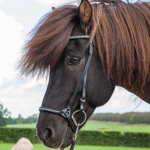 Eques Elegant Trense Sort m. Krystaller