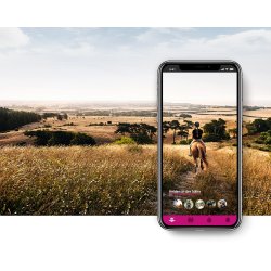 Uvex Elexxion Tocsen Ridehjelm Matt/Shiny Sort