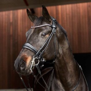 Catago Santo Rundsyet Kandar m.Rosegold sten Sort