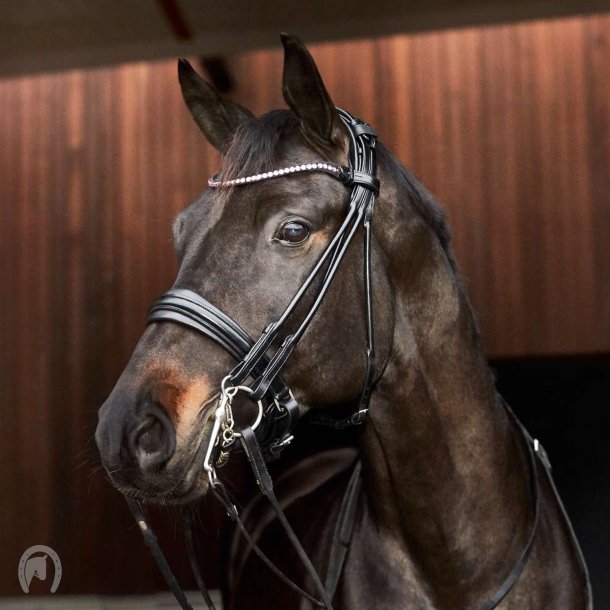 Catago Santo Rundsyet Kandar m.Rosegold sten Sort