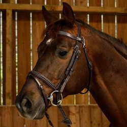 Dyon Working Trense Snap Hooks Brun m. Slvspnder