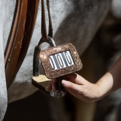 Horse Guard Stvnenummer Brun