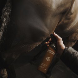 Kentucky Grooming Deluxe Almond Super Shine Gloss Spray 500ml