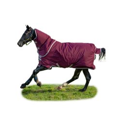 Amigo Hero Ripstop Plus Lite 0g Fig&Navy & Tan