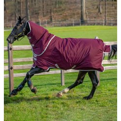 Amigo Hero Ripstop Plus Lite 0g Fig&Navy & Tan