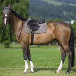 Tommy Hilfiger Stanford Underlag Ash