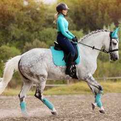 LeMieux Suede Dressage Square Underlag Azure